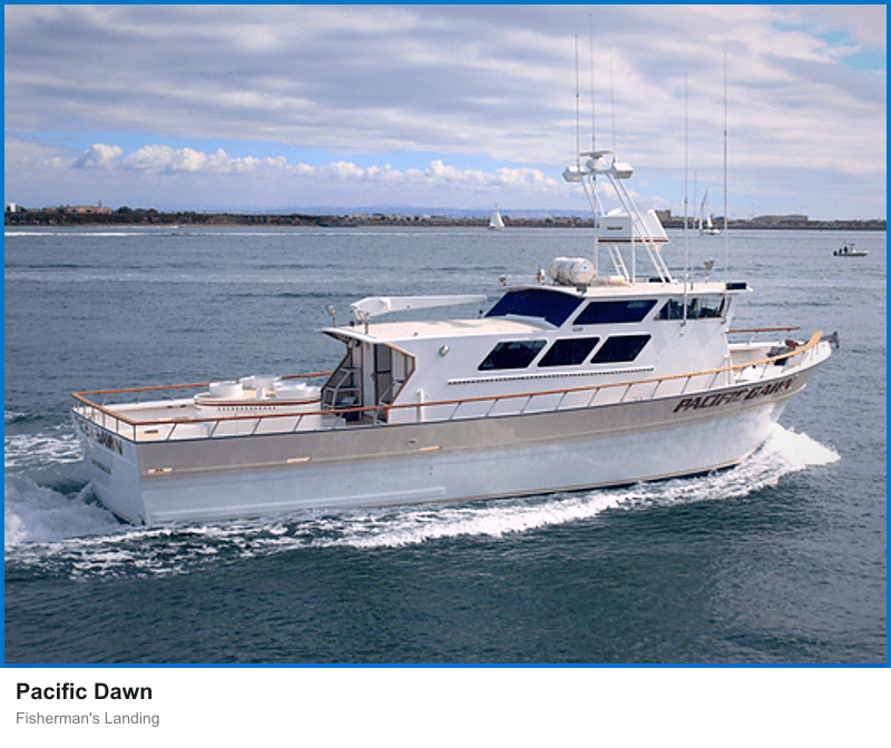 Pacific Dawn