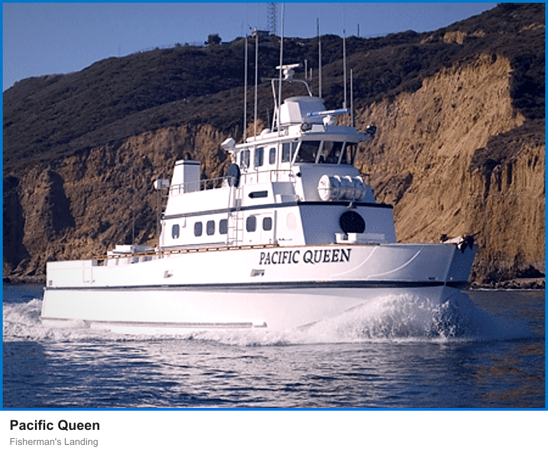 Pacific Queen