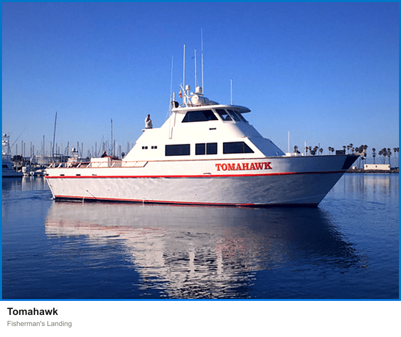 Tomahawk