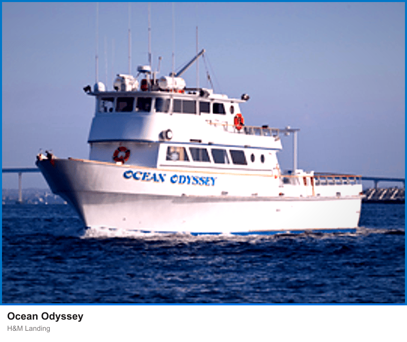 Ocean Odyssey