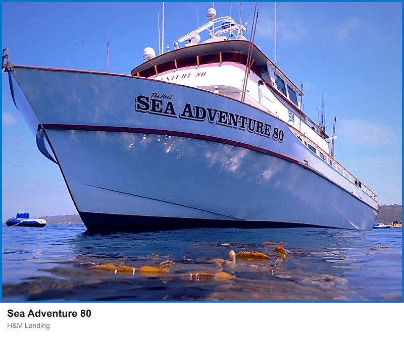 Sea Adventure 80