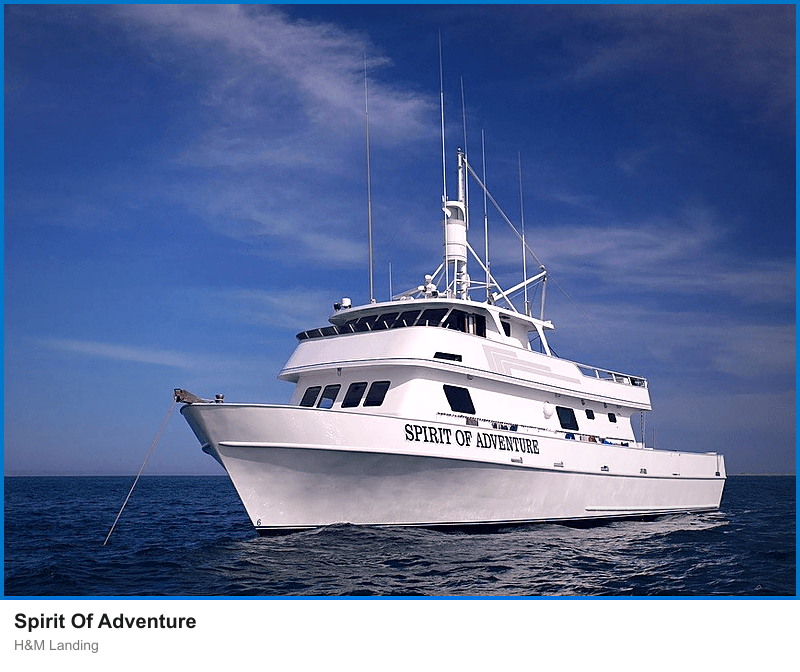 Spirit of Adventure