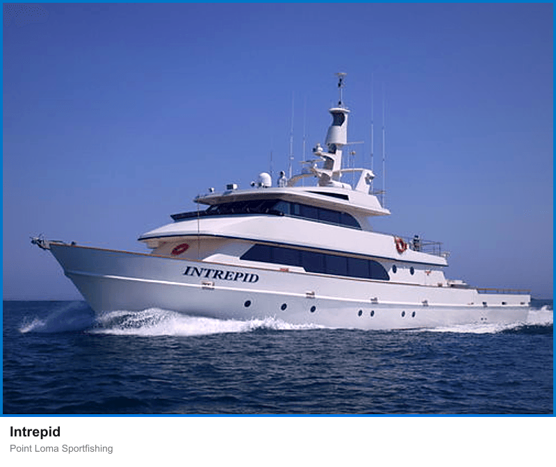 Intrepid