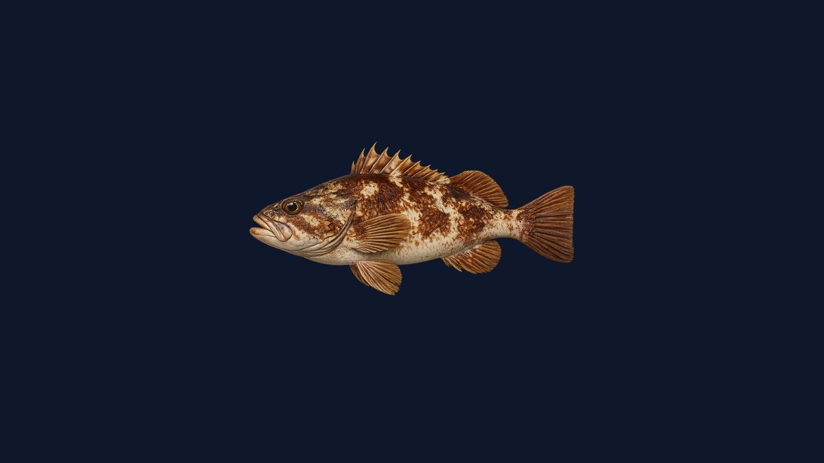Greenstriped rockfish studio illustration — olive-green slim body with distinctive vertical dark-green stripes and elongated rockfish profile against a black background.